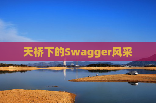 天桥下的Swagger风采